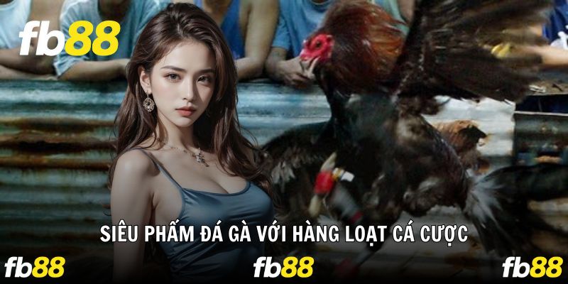 Game đá gà cực hot được săn đón nhất trên nền tảng